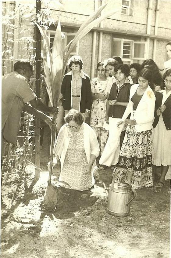 coconutplanting2_1981