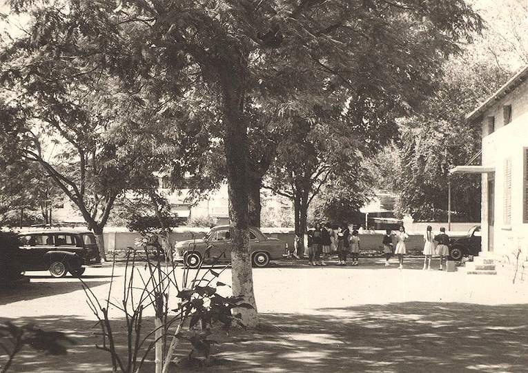 drive 1966 drive 1966